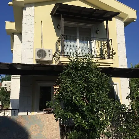 Yellow Dalyan